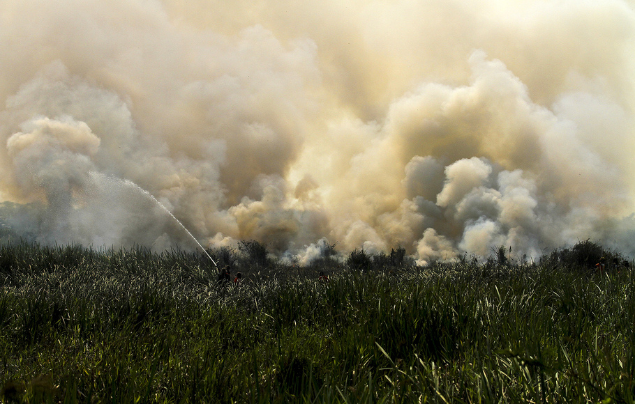 16 Hektare Lahan di Pantai Timur Jambi Terbakar