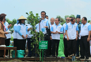 President Joko 'Jokowi' Widodo kickstarted a plant-a-thon in Tuban, East Java, in November which set a Guinness World Record with more than 238,000 trees planted in an hour. (Antara Photo/Aguk Sudarmojo)