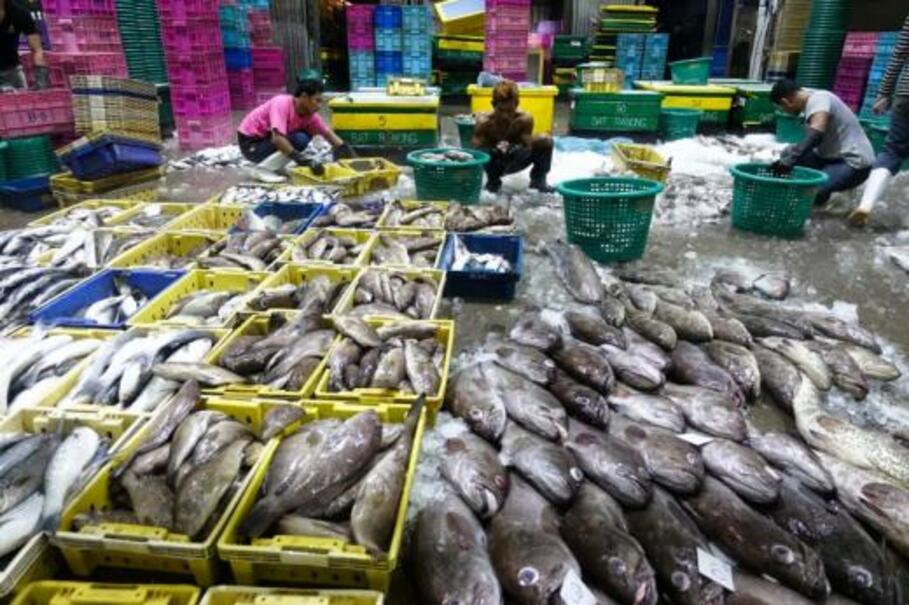 'Progress and Persistent Abuses' in Thailand's Fishing Industry, Says