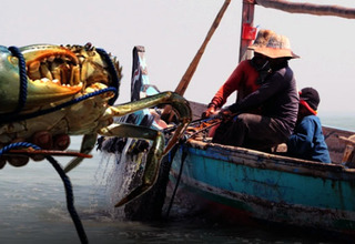 Tiga Nelayan Jember Tewas Diterjang Ombak
