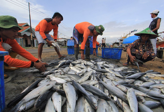 Produksi Ikan Bandeng Kabupaten Bekasi Terus Digenjot