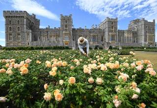 Pertama Kalinya, Taman di Kastil Windsor Dibuka untuk Umum