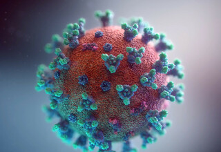 Pil Covid-19 Buatan Shionogi Tunjukkan Pembersihan Cepat dari Virus