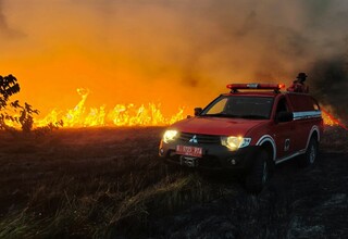 Kebakaran Hutan di Perbatasan Jerman Meluas, Ancam Kawasan Wisata