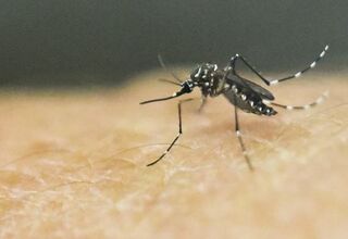 Waspada Ancaman DBD dan Malaria di Masa Pandemi