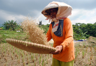 Core Indonesia: Ekonomi Digital Tak Berdampak pada Petani Kecil