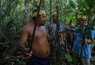 Hutan di Amerika Latin dan Karibia Kunci Ketahanan Pangan