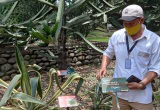5.000 Tanaman di Kebun Raya Bogor Miliki KTP Digital
