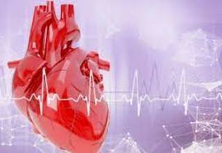 Jaga Kesehatan Jantung dengan Rutin Check Up