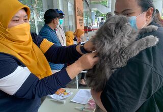 Dukung Tangerang Bebas Rabies, LPKR Vaksinasi Hewan Peliharaan Gratis