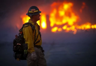 Kebakaran Hutan Colorado Hanguskan 1.000 Rumah Penduduk