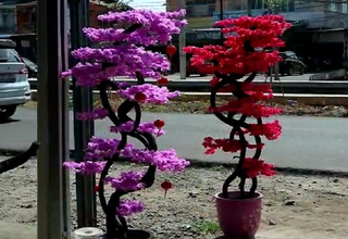 Jelang Imlek, Perajin Bunga Sakura Pontianak Banjir Pesanan