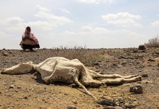 Kekeringan Memburuk, 13 Juta Orang Hadapi Kelaparan di Tanduk Afrika