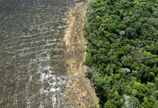 Januari, Deforestasi di Amazon Brasil Mencapai Rekor Baru
