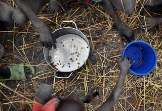 PBB: 7,7 Juta Orang Hadapi Krisis Pangan di Sudan Selatan