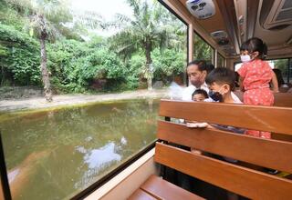 Libur Lebaran, Jokowi Ajak Cucu Wisata Satwa di Bali
