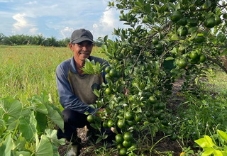 800 Petani Kalteng Ikuti Program Bertani Berkelanjutan