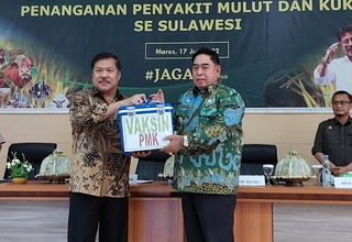 Kementan Pantau Langsung Penanganan PMK di Sulawesi
