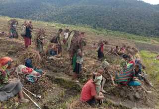 2.740 Jiwa Berpotensi Terkena Dampak Bencana Kekeringan di Lanny Jaya