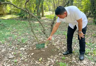 Polisi Pastikan Selidiki Pohon Koka di Kebun Raya Bogor