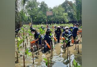 KPMG Indonesia Tanam Mangrove di Ekowisata PIK Jakarta