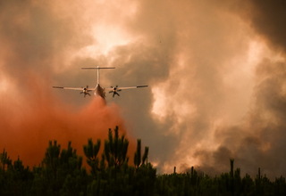 Lima Negara Eropa Ikut Perangi Kebakaran Hutan di Prancis