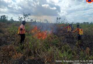 BNPB Laporkan 7,5 Hektare Lahan di Kalteng Terbakar