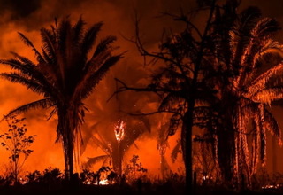 Brasil Catat Kebakaran Terburuk Hutan Amazon dalam 15 Tahun