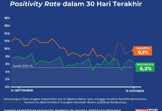 Data Positivity Rate Covid-19 sampai 13 Oktober 2022