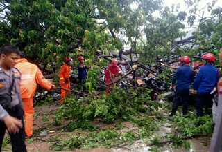 5 Polisi Tertimpa Pohon Tumbang di Balai Kota DKI