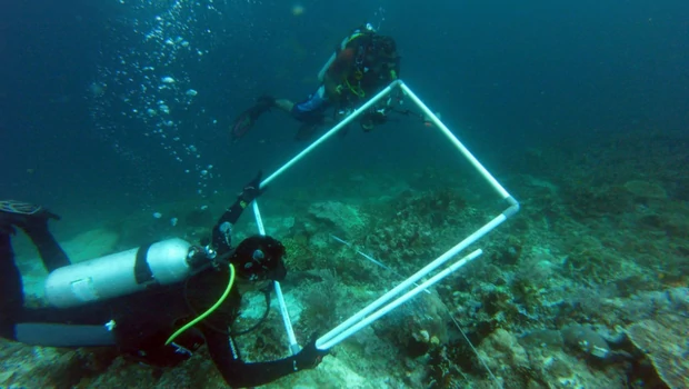 Tim peneliti mendata kerusakan terumbu karang yang disebabkan kandasnya Kapal MV Caledonian Sky di perairan Raja Ampat, Papua Barat.