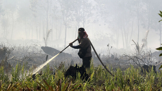 Program DMPA Tekan Titik Panas dan Kebakaran Lahan di Kalimantan