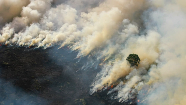 Kebakaran hutan dan lahan.