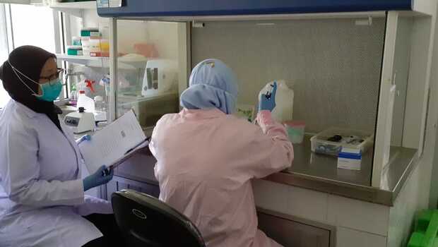 Para peneliti IPB tengah melakukan uji sampel Swab Covid-19 di Pusat Studi Satwa Primata LPPM-IPB