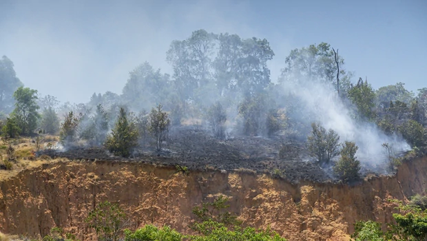Asap mengepul akibat kebakaran hutan di wilayah Nongsa, Batam, Kepulauan Riau, belum lama ini. Berdasarkan data aplikasi SiPongi Kementerian Lingkungan Hidup dan Kehutanan (KLHK) jumlah titik panas April di wilayah Kepulauan Riau mengalami peningkatan naik dibanding Maret 2020.