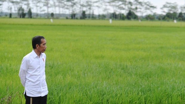 Presiden Joko Widodo meninjau lahan yang akan dijadikan 
