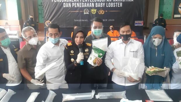 Kepala Kantor Bea Cukai Soekarno Hatta Finari Manan memberikan penjelasan soal 20 dokumen pemberitahuan ekspor barang benih bening lobster yang didaftarkan oleh 14 eksportir berbeda kepada Komisi XI DPR yang melakukan kunjungan di Bandara Soekarno Hatta, Jumat  (18/9/2020). 