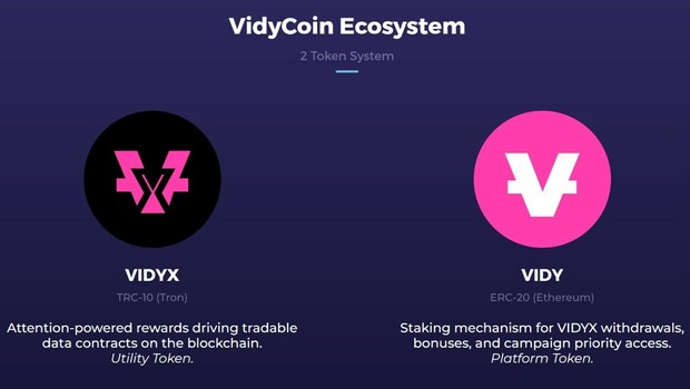 Vidy Resmi Meluncurkan Token VIDYX Berbasis TRON