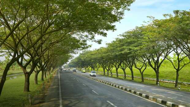 Program penanaman pohon trembesi di jalur Kudus-Demak berhasil mengurangi emisi karbon yang hadir di jalan raya.
 
