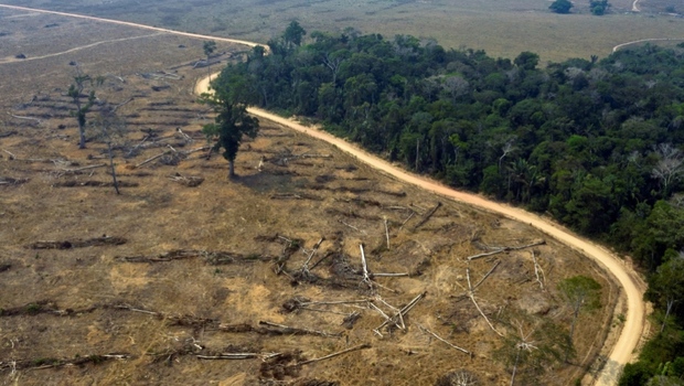 Foto file udara yang diambil pada 24 Agustus 2019 dari area yang terbakar di hutan hujan Amazon, dekat Porto Velho, negara bagian Rondonia, Brasil. Hampir semua deforestasi di Amazon Brasil adalah ilegal.