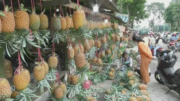 Buah nanas yang menjadi ikon Kabupaten Subang, banyak diminati wisatawan di momen libur lebaran.