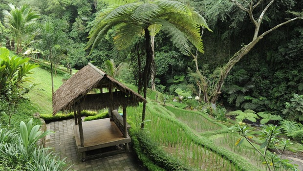 Desa Wisata Taro di Gianyar Bali.