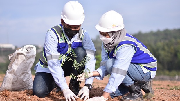Hingga Juni 2022, PTBA telah menanam 1.333.350 batang pohon di area reklamasi.