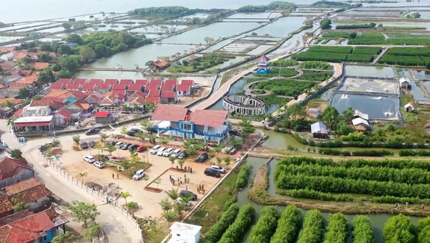 Kawasan pesisir Ketapang, Kecamatan Mauk, menjadi permukiman yang tertata rapi dan kawasan konservasi mangrove sekaligus ekowisata Ketapang Aquaculture.