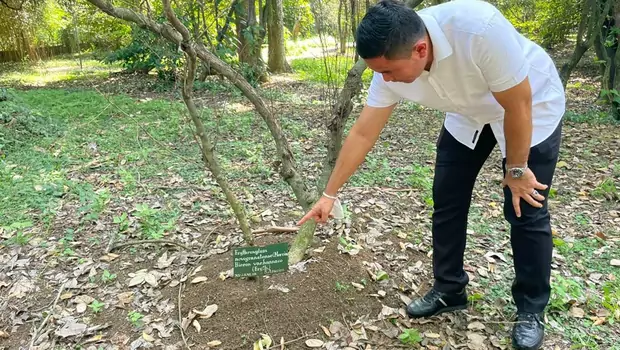 Kasat Narkoba Polres Bogor Kompol Agus Susanto saat menunjukkan salah satu pohon koka di Kebun Raya Bogor, Senin, 8 Agustus 2022.
