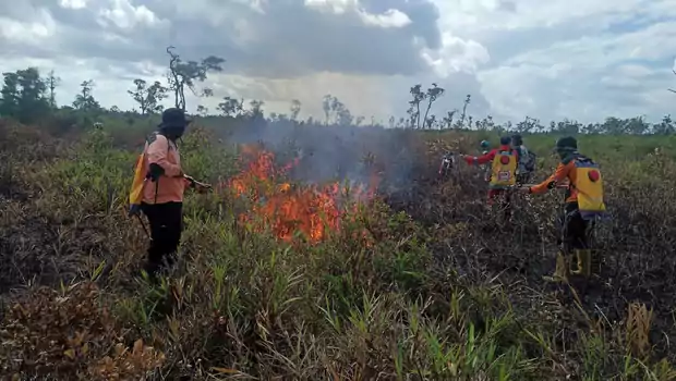 Petugas memadamkan kebakaran hutan dan lahan di Desa Natai Sedawak, Kecamatan Sukamara, Kabupaten Sukamara, Kalimantan Tengah,  Kamis, 18 Agustus 2022.