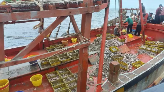 Kementerian Kelautan dan Perikanan (KKP) melalui Direktorat Jenderal Pengawasan Sumber Daya Kelautan dan Perikanan (PSDKP), kembali meringkus dua kapal ikan asing (KIA) yang melakukan aktivitas illegal fishing di perairan Indonesia.