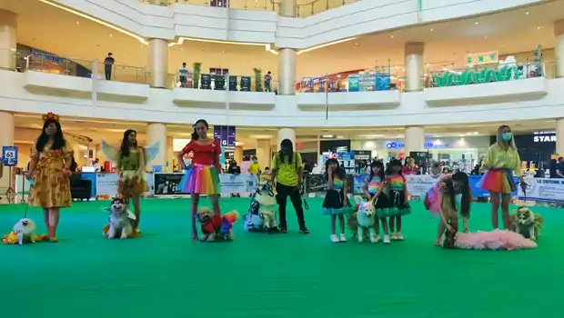 Ajang The Jakarta Dog Show 2022 yang diikuti sebanyak 170 peserta yang digelar di Mall@Alam Sutera, Tangerang, Banten, 24-25 September 2022.