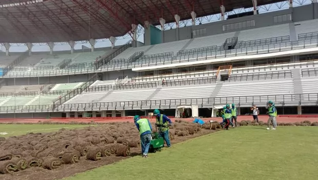 Pengerjaan rumput Stadion Gelora Bung Tomo (GBT), Surabaya.