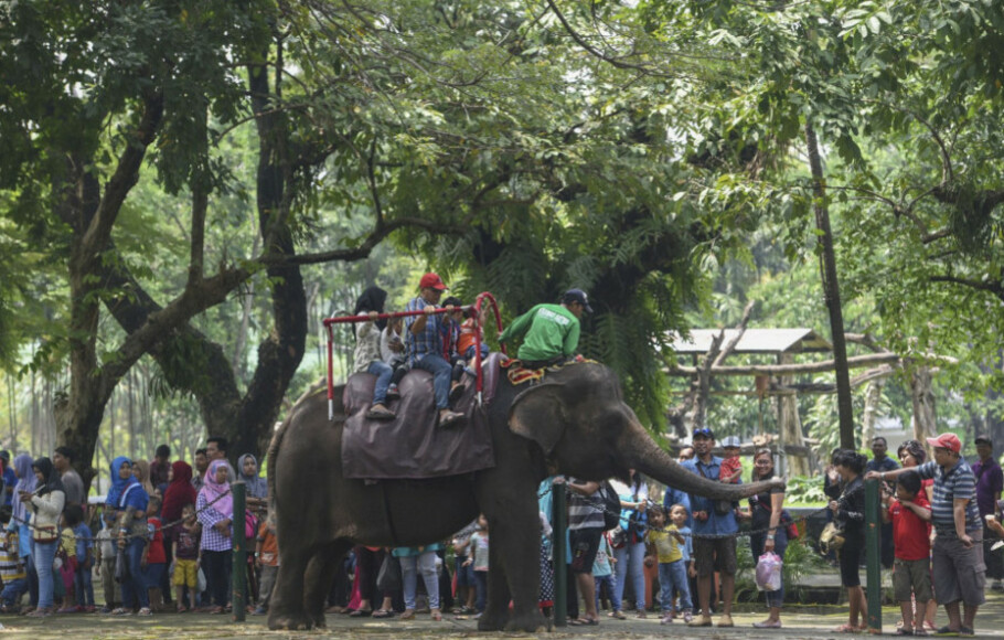28.000 Pengunjung Padati Kebun Binatang Surabaya